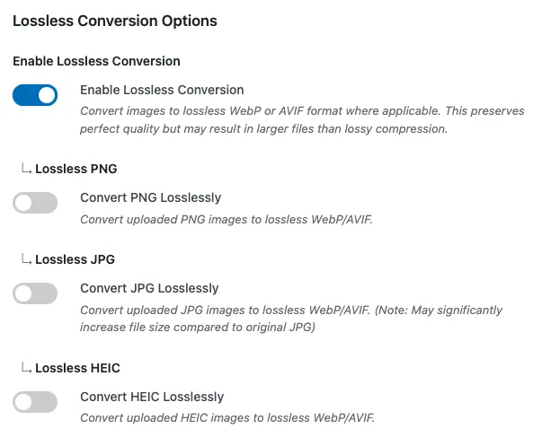 Enable lossless image conversion to WebP or AVIF.