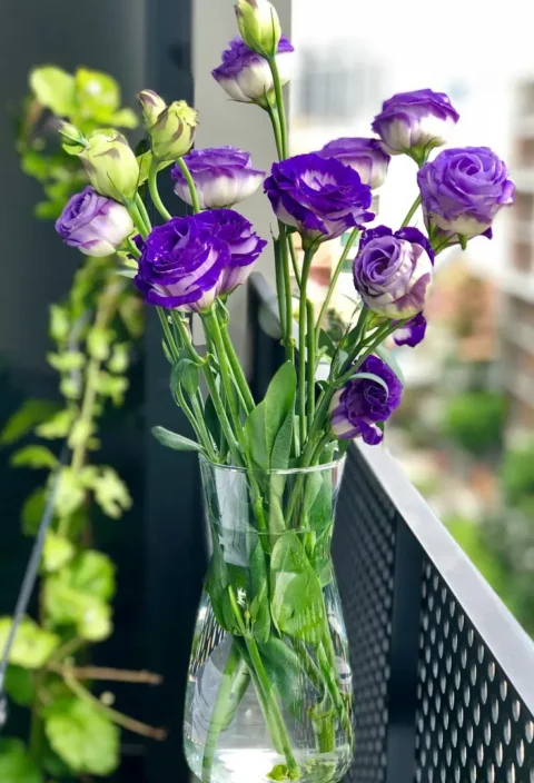 Purple flowers in a clear glass vase on balcony.