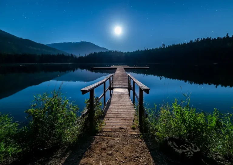 Moonlit lake with wooden pier and stars